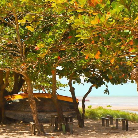 Pousada Venezia Tropicale Japaratinga Εξωτερικό φωτογραφία